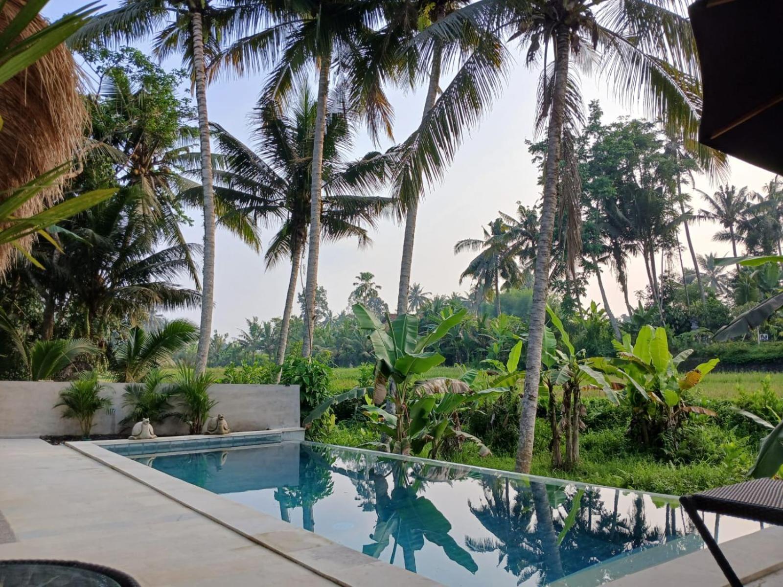 Bali View Ubud Hotel Ngoại thất bức ảnh