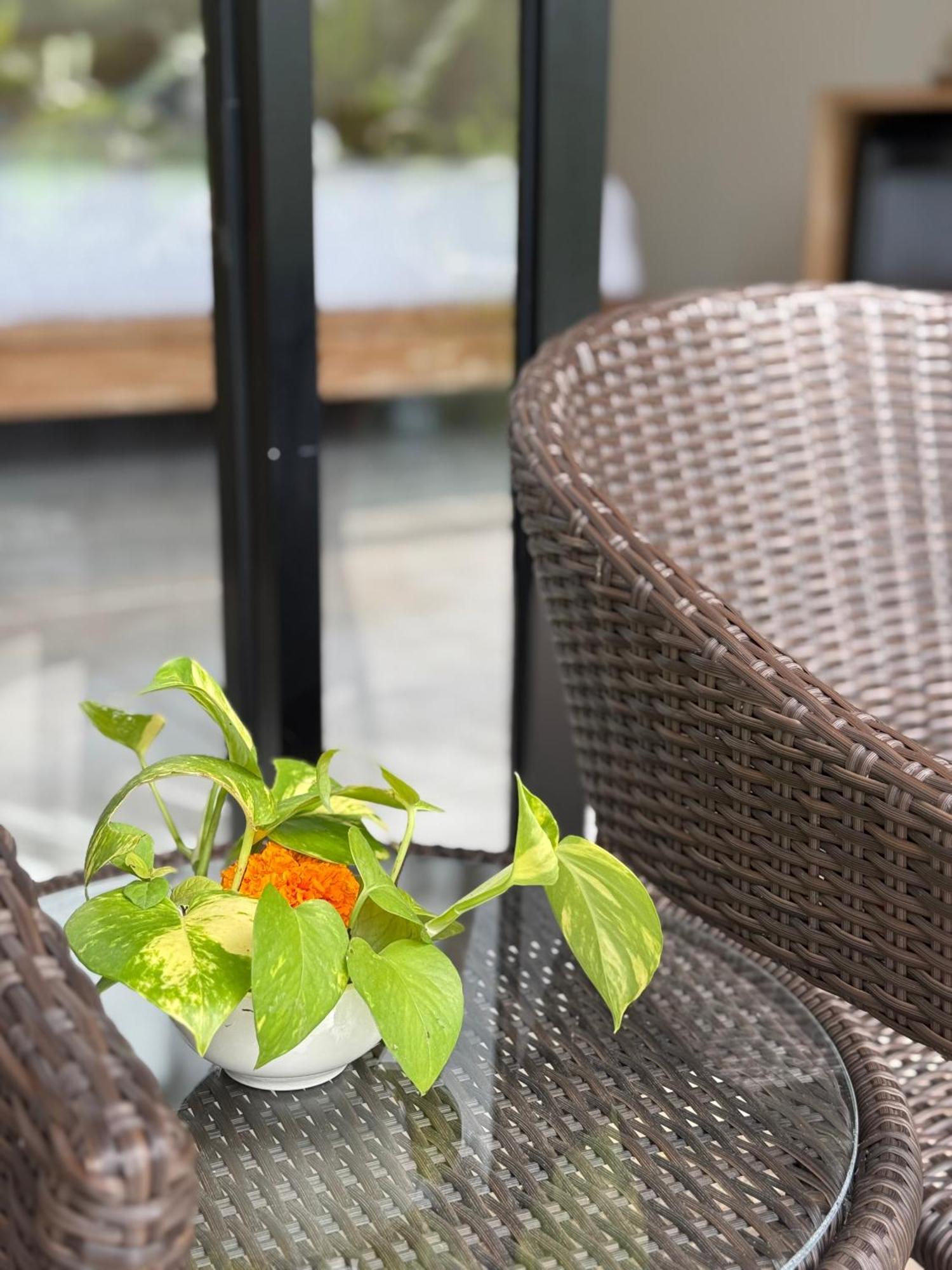 Bali View Ubud Hotel Ngoại thất bức ảnh